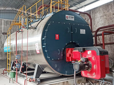 boiler-8-ton-for-food-industry -.jpg